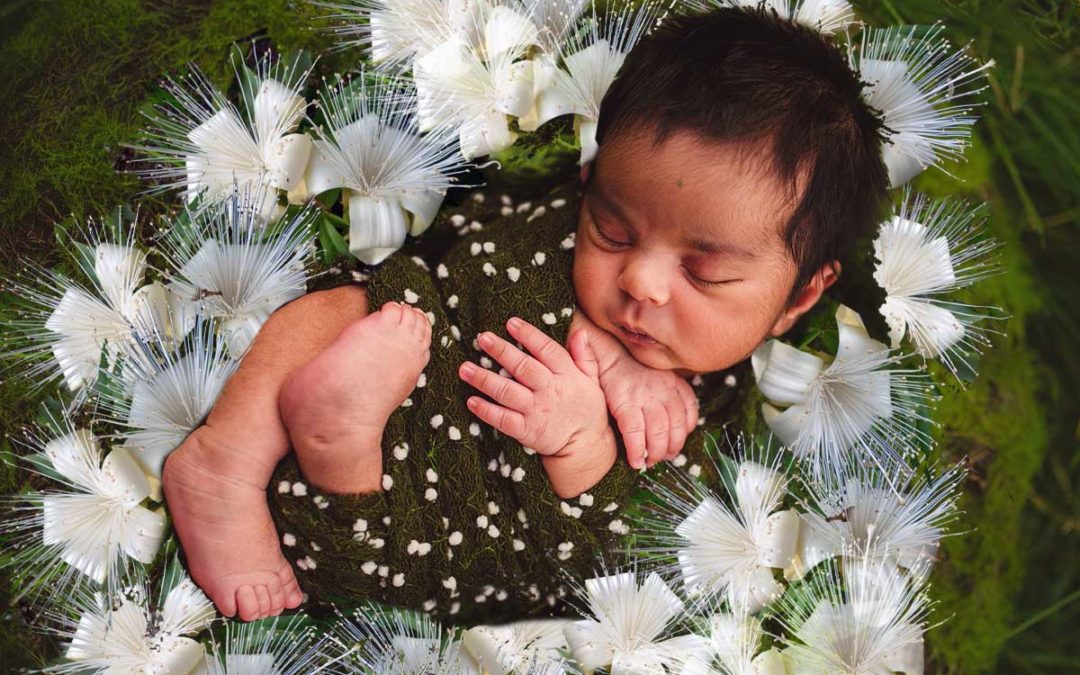 Boab è il fiore australiano che libera dai condizionamenti famigliari e dagli schemi negativi degli antenati - Consulenza Fiori Australiani a Torino